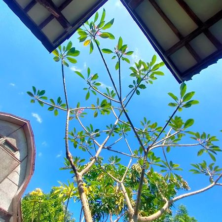 Nature Villa Gili Trawangan Buitenkant foto